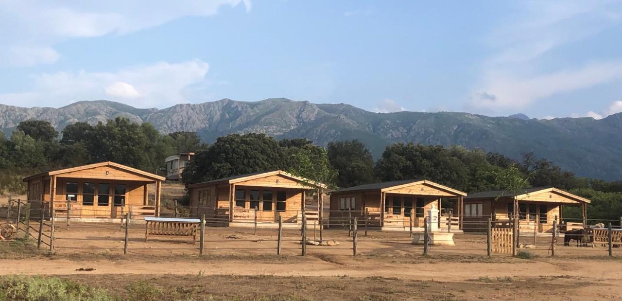 Les Chalets De Tesa Occhiatana Exterior foto