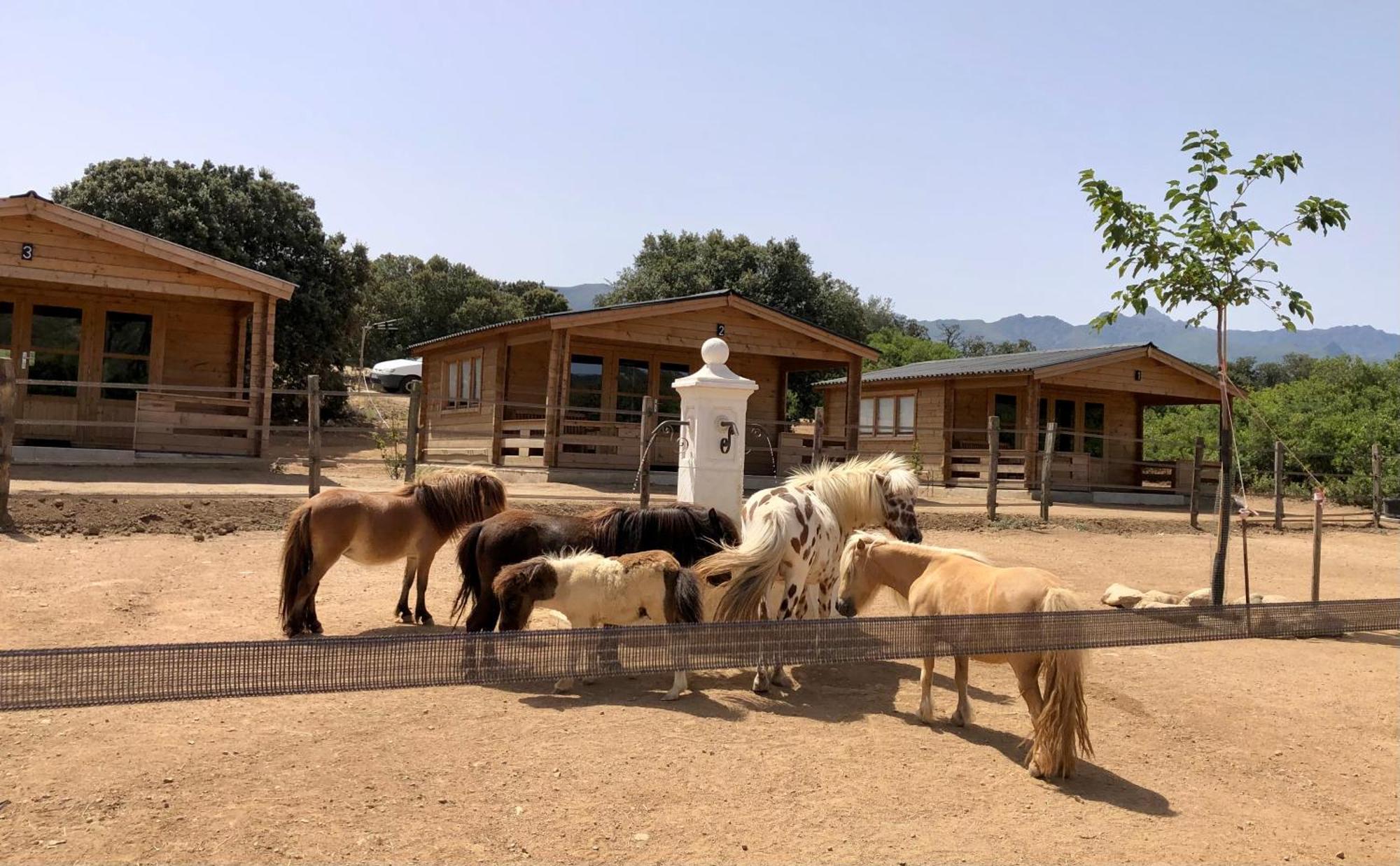 Les Chalets De Tesa Occhiatana Exterior foto